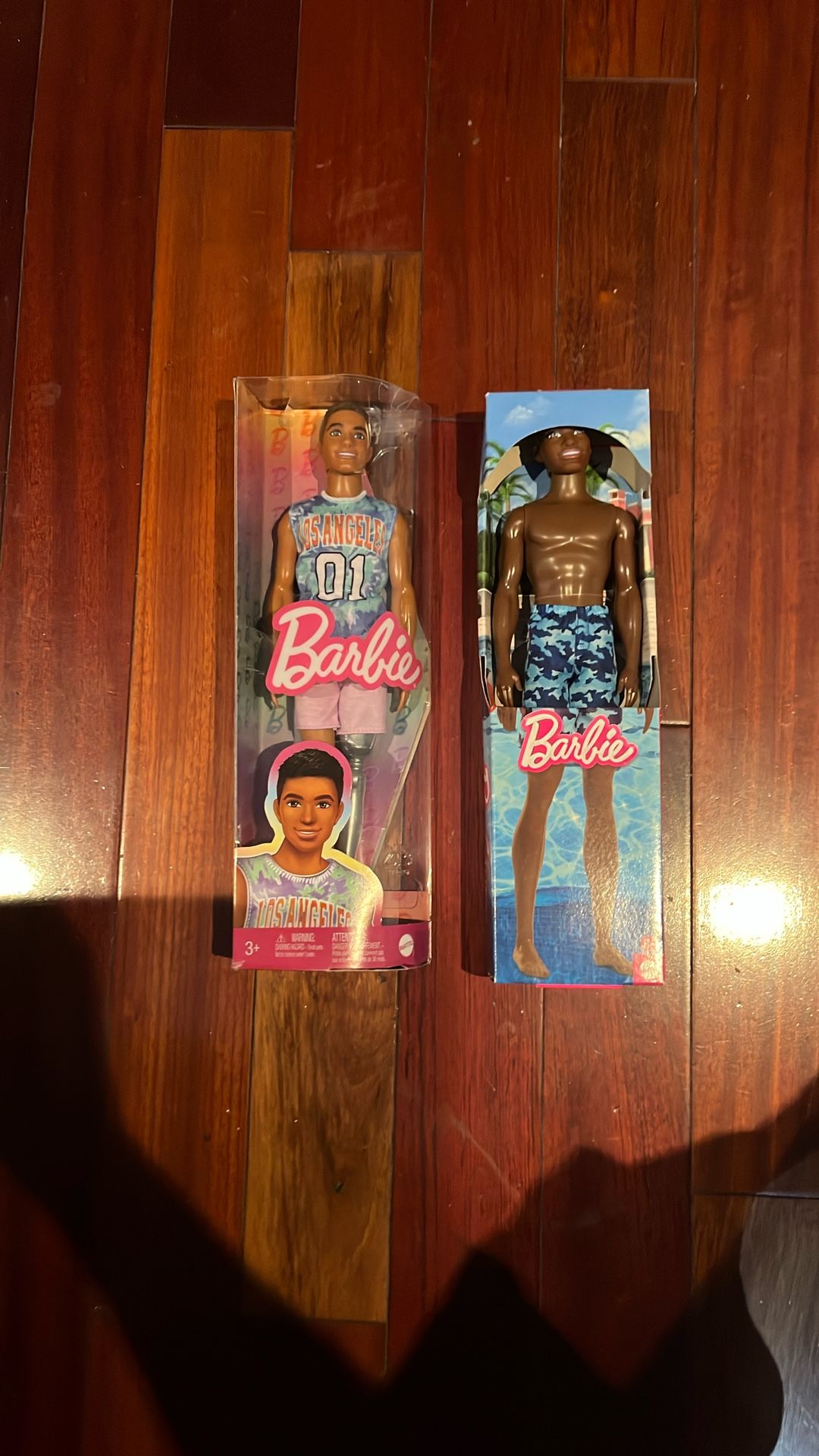 Barbie KEN dolls (2)