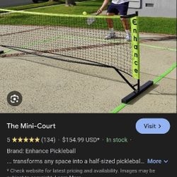 Enhance The Mini Court Pickle Ball New 