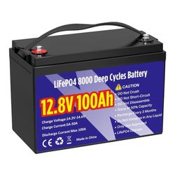 New 12V 100Ah LifePO4 Lithium Battery