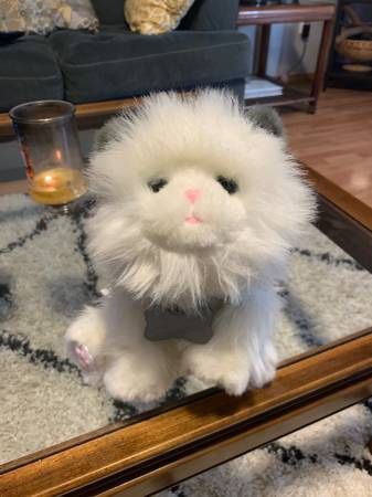 Little Live Pets My Dream Kitten