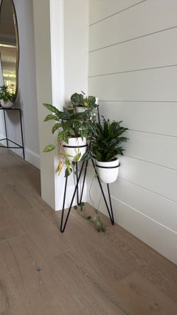 Plant pot
