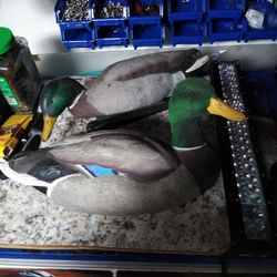 Two Floating Male Mallard Duck Decoys