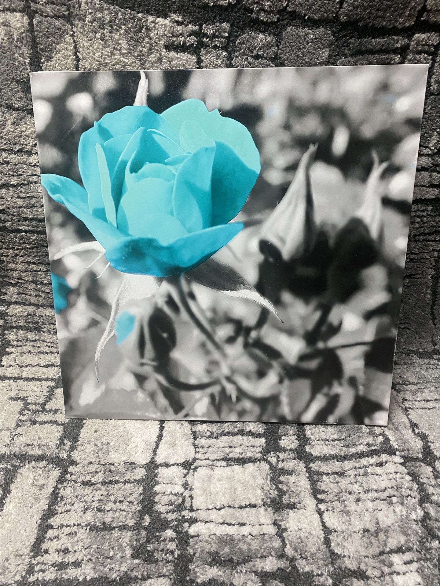Stunning Turquoise Blue Rose Canvas Wall Art Trio – Black & White with Pop of Color – Modern Home Decor