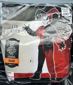 Jester kid costume