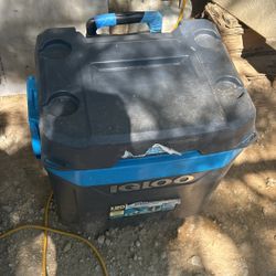 Cooler