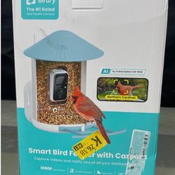 NETVUE by Birdfy Smart Bird Feeder