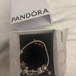 Pandora Charm and Bracelets 