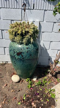 Big base. 4 feet tall heavy
