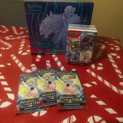 Journey Together Pokemon 