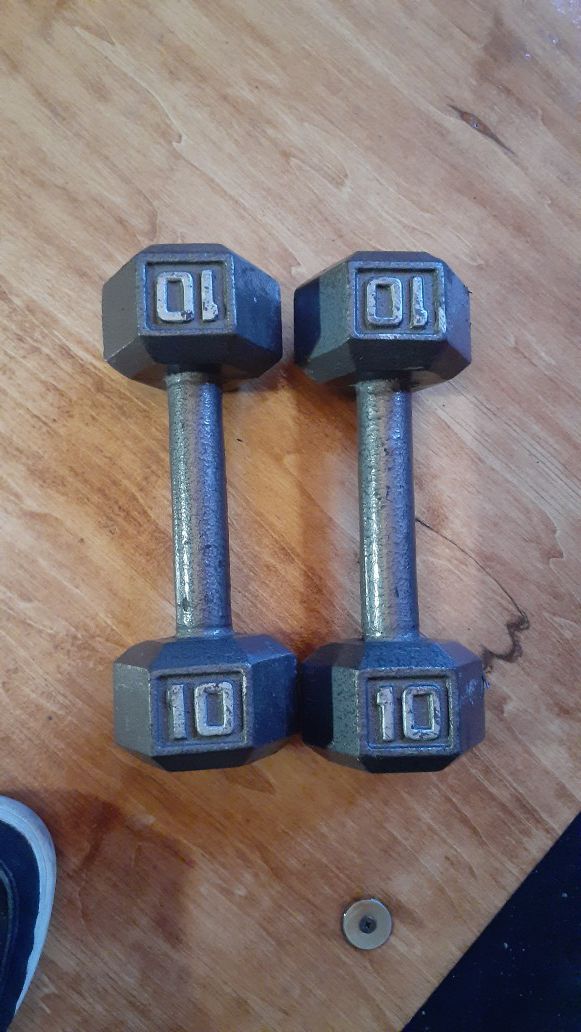 10lbs dumbbell weights