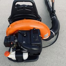 Echo Commercial Gas Blower 
