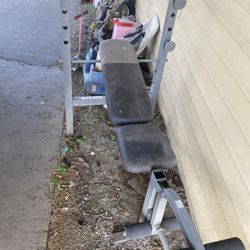 Weight Bench