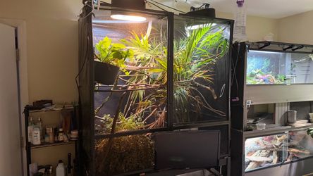Zoo med reptibreeze 4x2x4