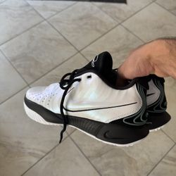LEBRON 21 "CONCHIOLIN"
