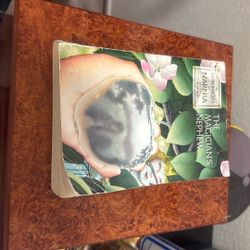 Book The Magician Nephew 