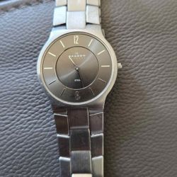 Men's Skagen Watch 