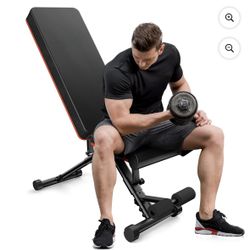 Work Out Bench
