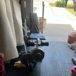Bench Press With Bar 