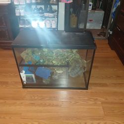 Fish Tank