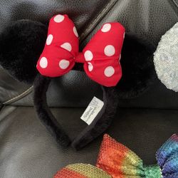 Disney Parks Ears