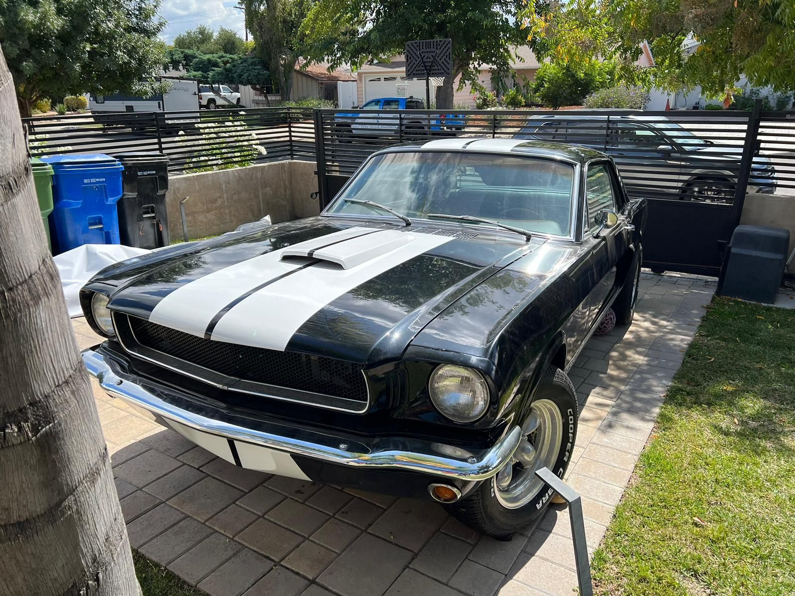 1965 Ford Mustang