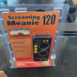 Screaming Meanie Alarm Timer