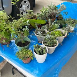 Yard Sale 7/12 Saturday Kern rd Chino