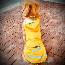 EUC, Outdoor, Waterproof,  Reflective, Yellow, Coat, For Medium Large Dog. Like New!