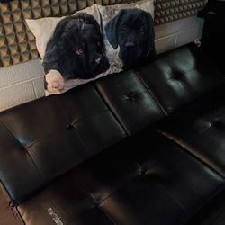 Convertible Sofa - Black 