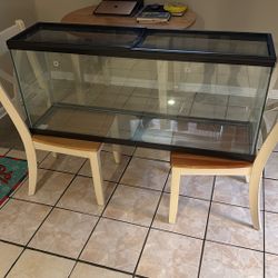 Reptile Tank