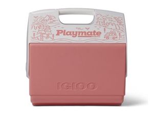igloo cooler