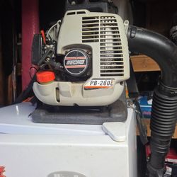 Blower  Echo. PB-260