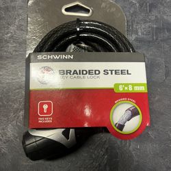 Schwinn Bike Lock