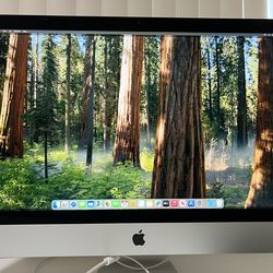 Apple IMac 27 2020 and Apple Cinema Display Combo
