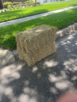 Free hay 2 bails