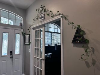 Trailing Pothos in pink mason jar
