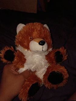 Baby stuff fox 🦊