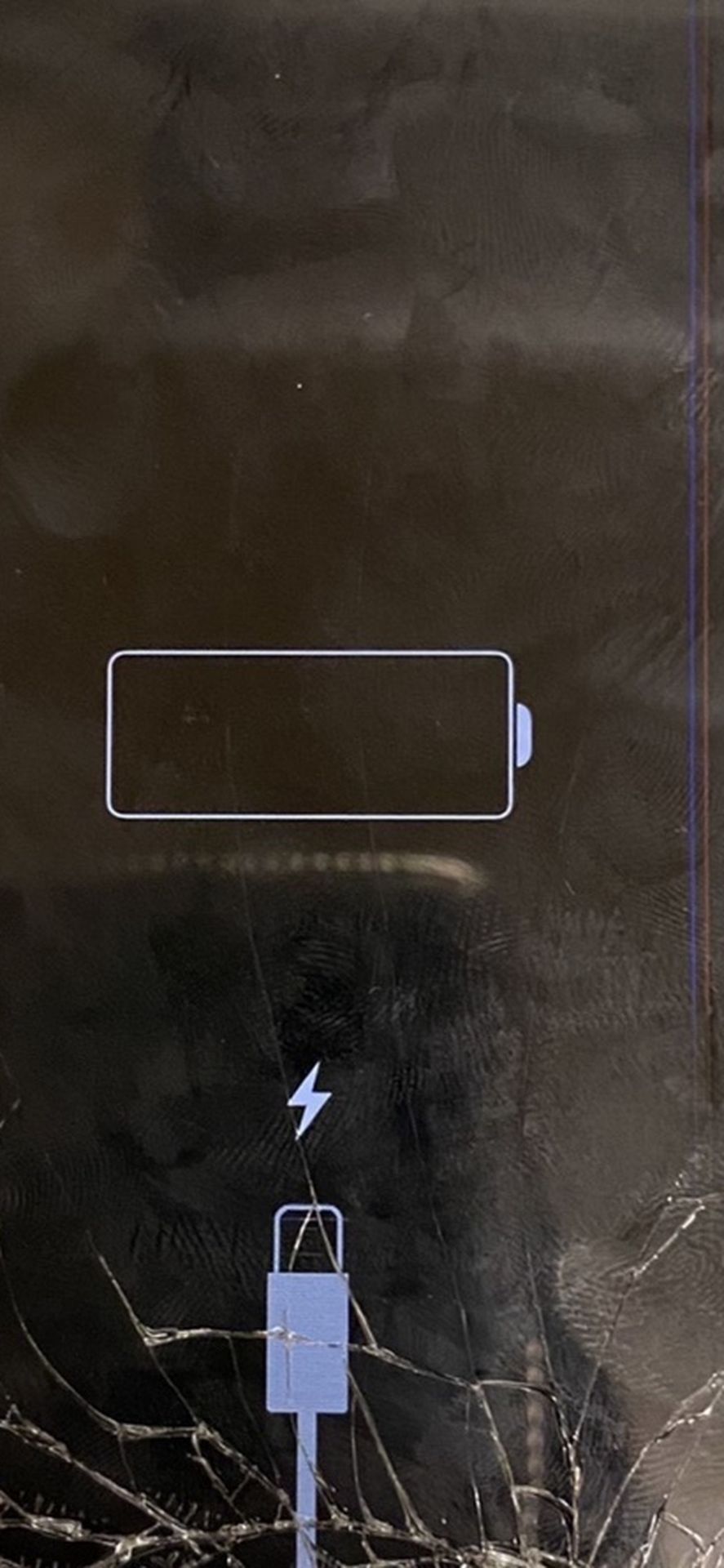 iPhone 6 Plus