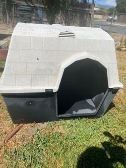 Large dog house