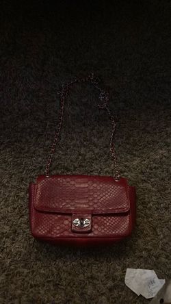 Crocodile skin purse