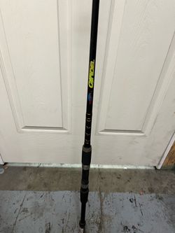 Tsunami  citadel fishing rod