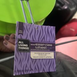 Exercise Wheel For Small Animal 