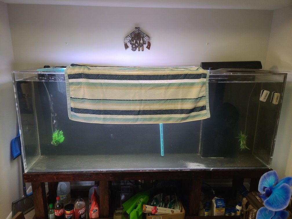 300 Gallon Fish Tank