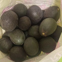 Big Avocados $1.50 Each 