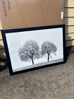 Large Black Framed Black & White Tree Print