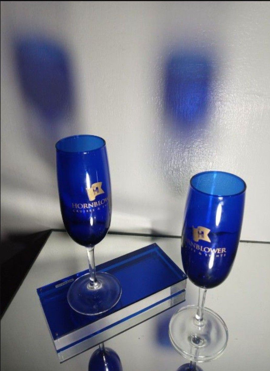 CHAMPAGNE FLUTE GLASSES SET OF 2 - HORNBLOWER CRUISES & EVENT'S