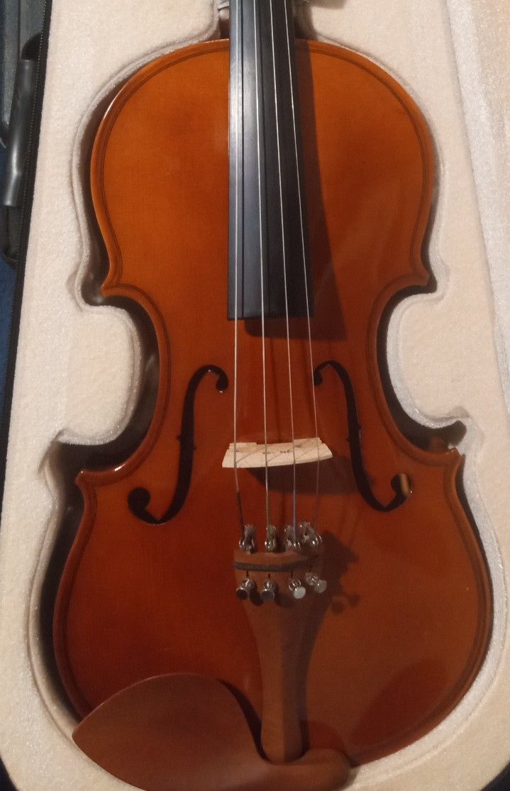 Viola
