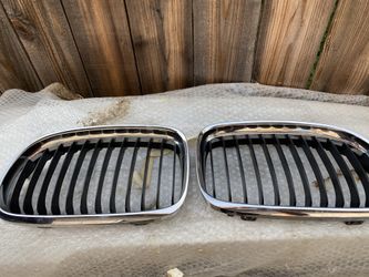 BMW 2009-2011 Front Kidney Grills