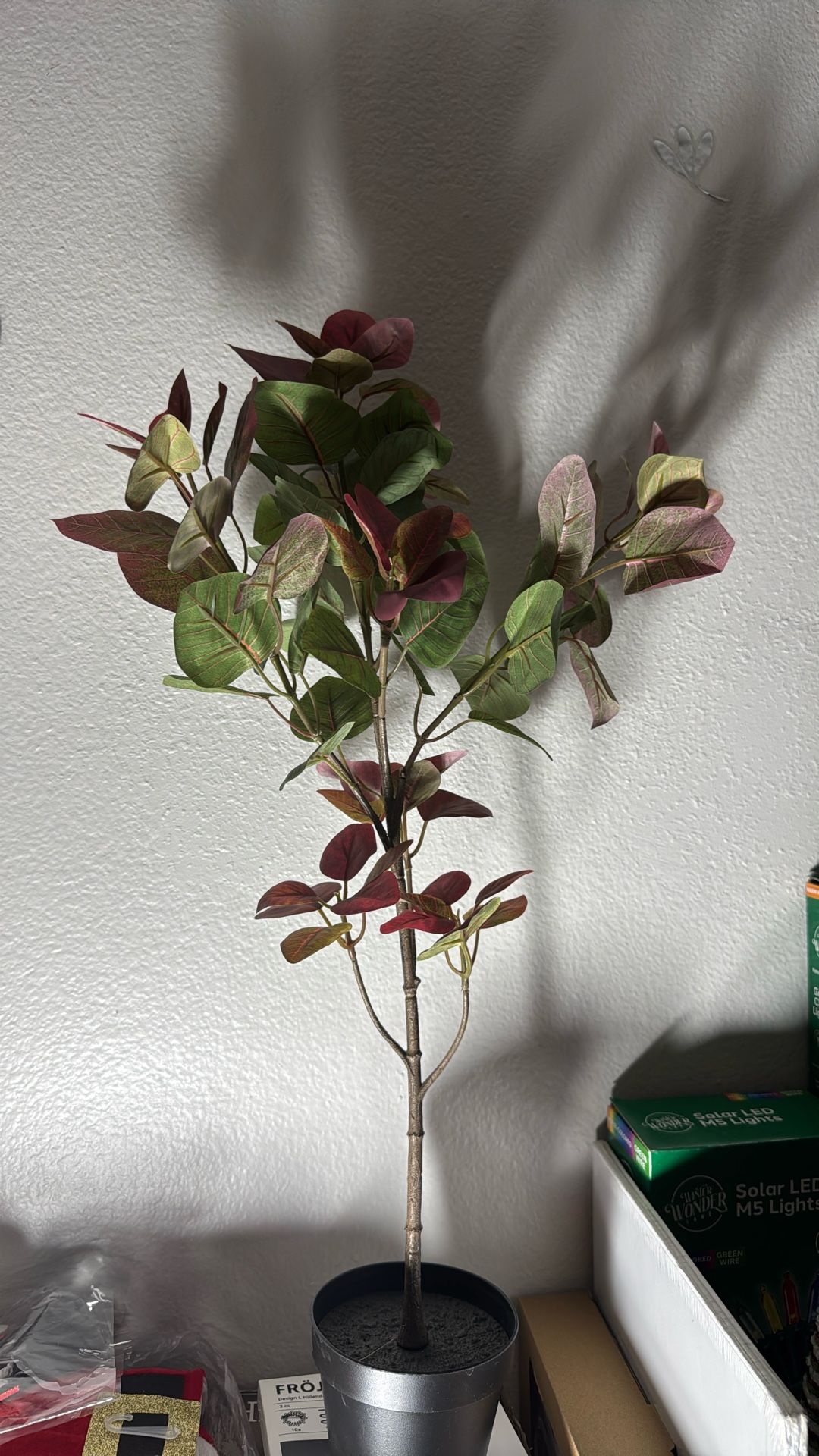 Fake Plant 🪴 Cash Only Thanks