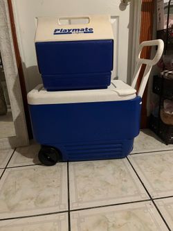 Large Lunch box and cooler